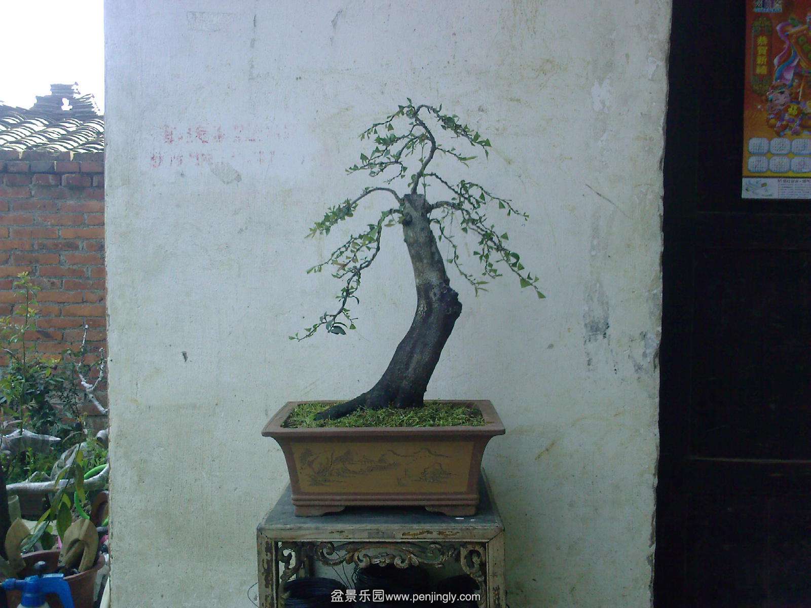 20150510112552.jpg