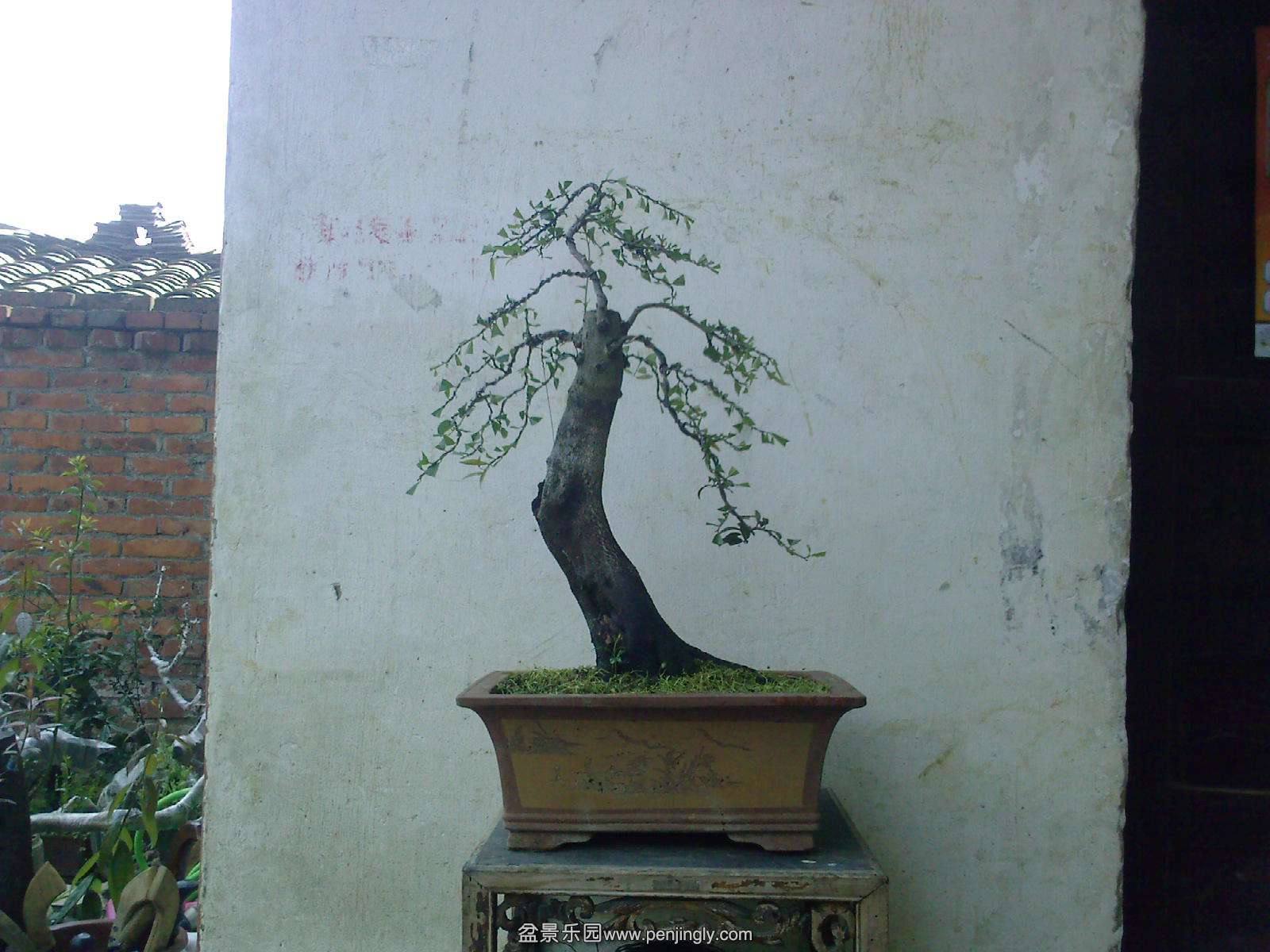 20150510112752.jpg