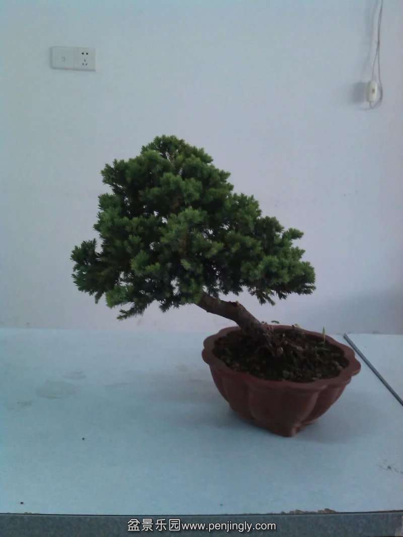 psb (1).jpg