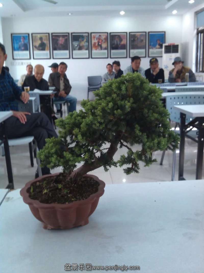 psb (3).jpg