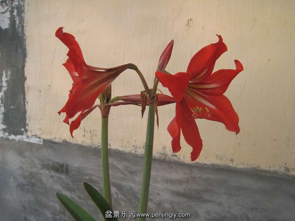 IMG_3778.JPG
