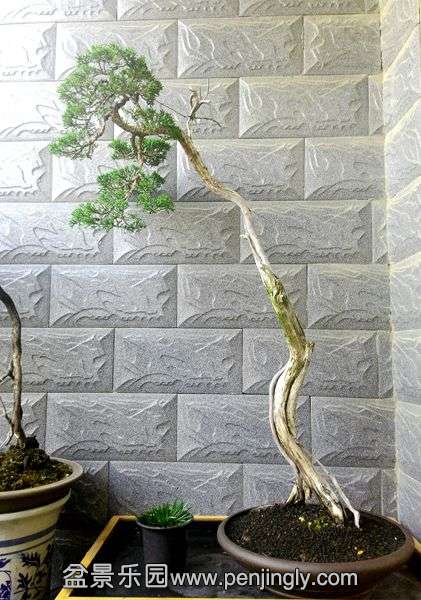 ��Ƭ2014.9.28 022.jpg