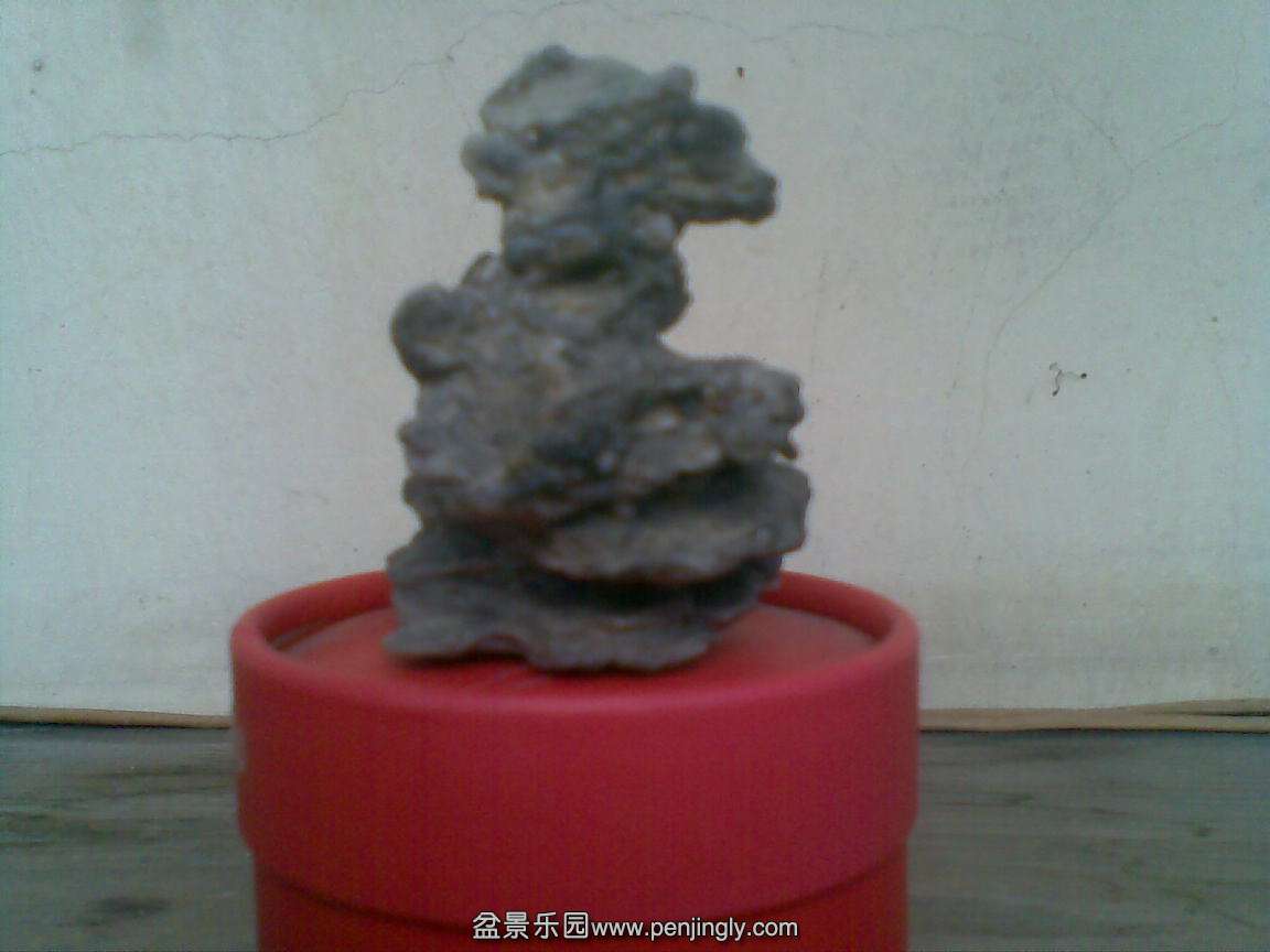 20150503(004).jpg