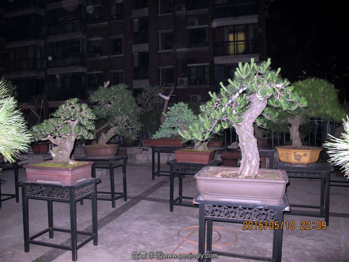 10.jpg