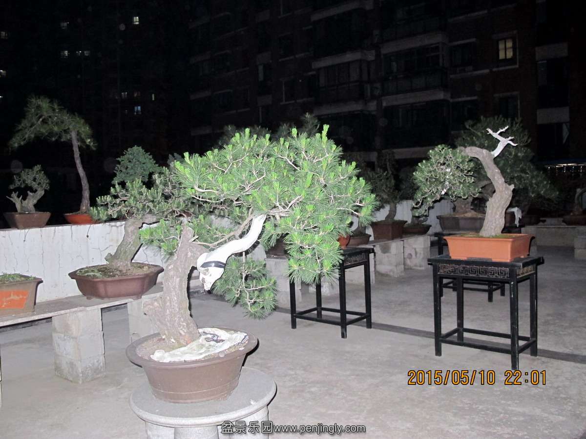 12.jpg