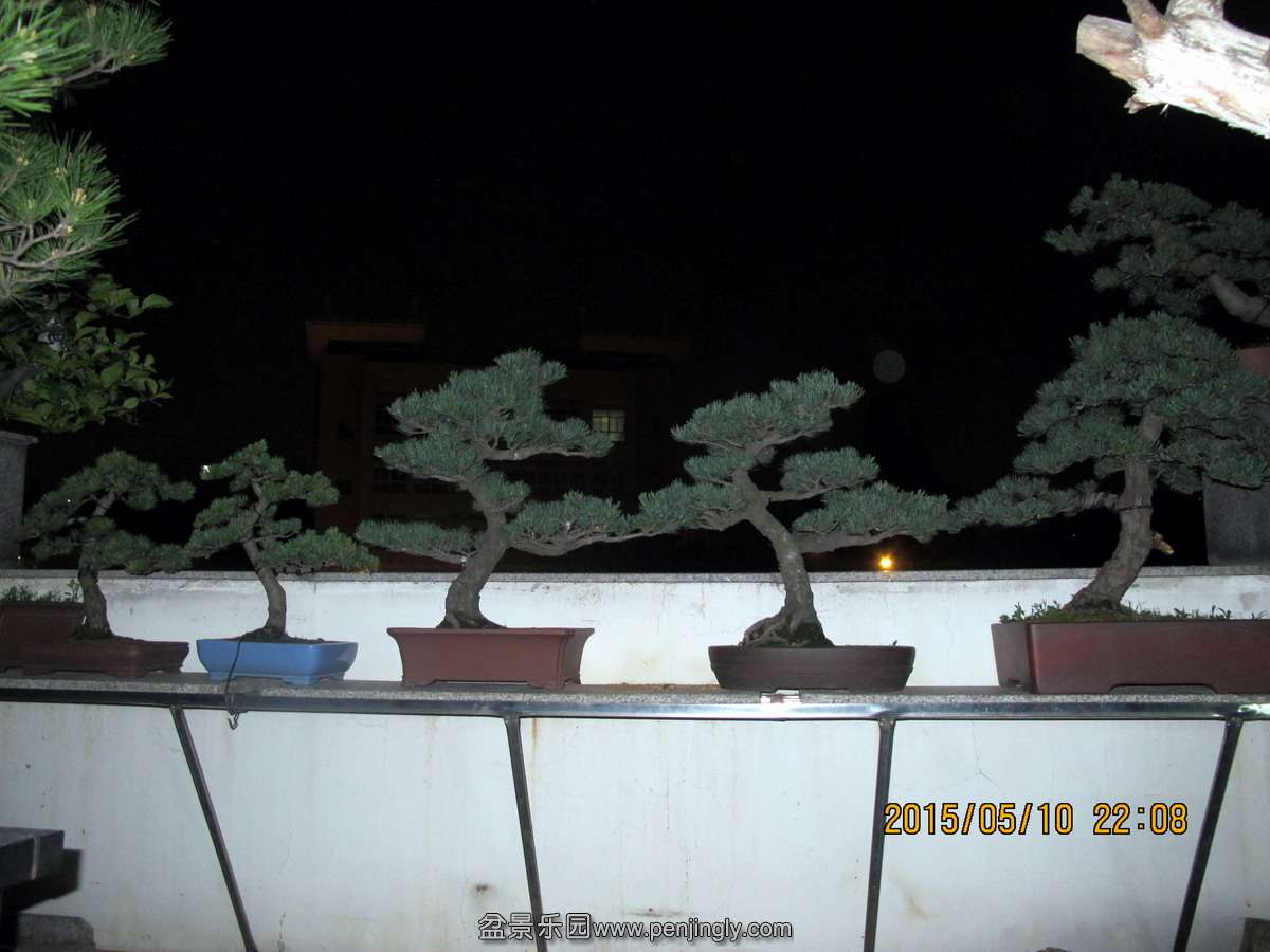 15.jpg