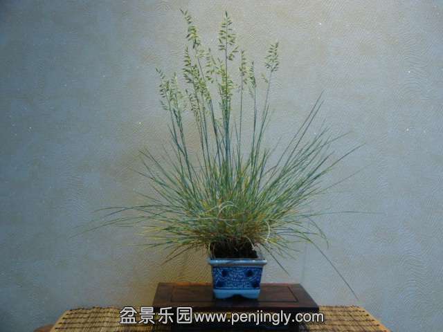 DSC00839.JPG