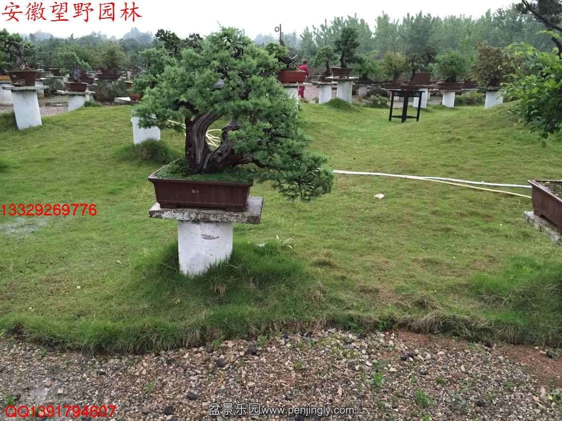 E970973D82CBBEE941C1CB0D0A269F1D.jpg