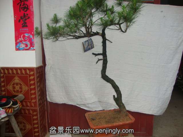DSC03371_.jpg