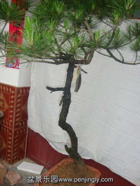 DSC03374_.jpg