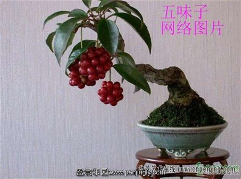 t01af9f0d02c62f625f.jpg