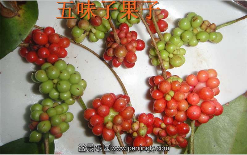 O9`SIABOKC8C$XIP`ROT9WR.jpg