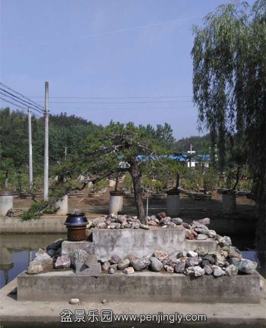 QQͼƬ20150519085442.jpg