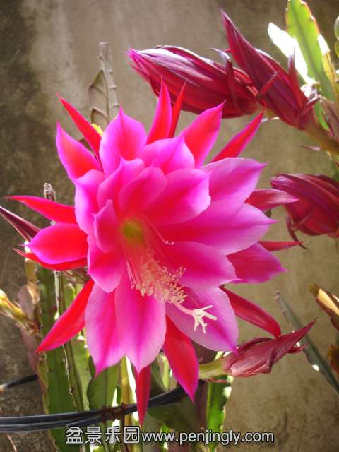 DSC00335.JPG