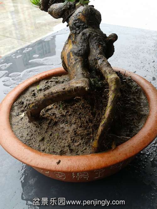 20156.322.jpg