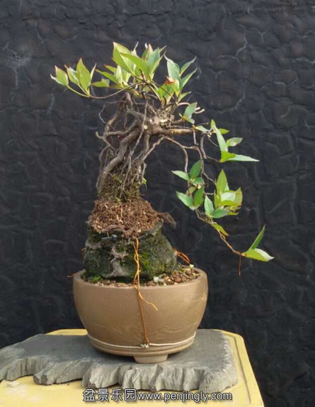 2015-05-19 17.46.03.jpg