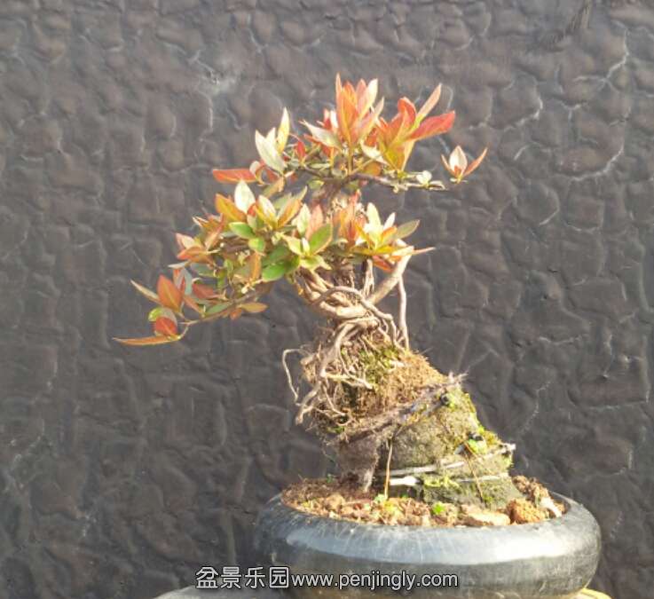 2015-05-19 17.44.34.jpg