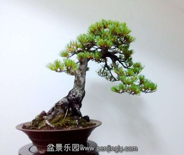 ��Ƭ2014.9.28 003.jpg