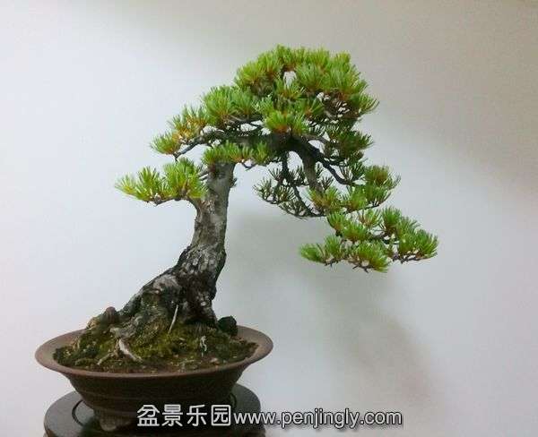 ��Ƭ2014.9.28 002.jpg