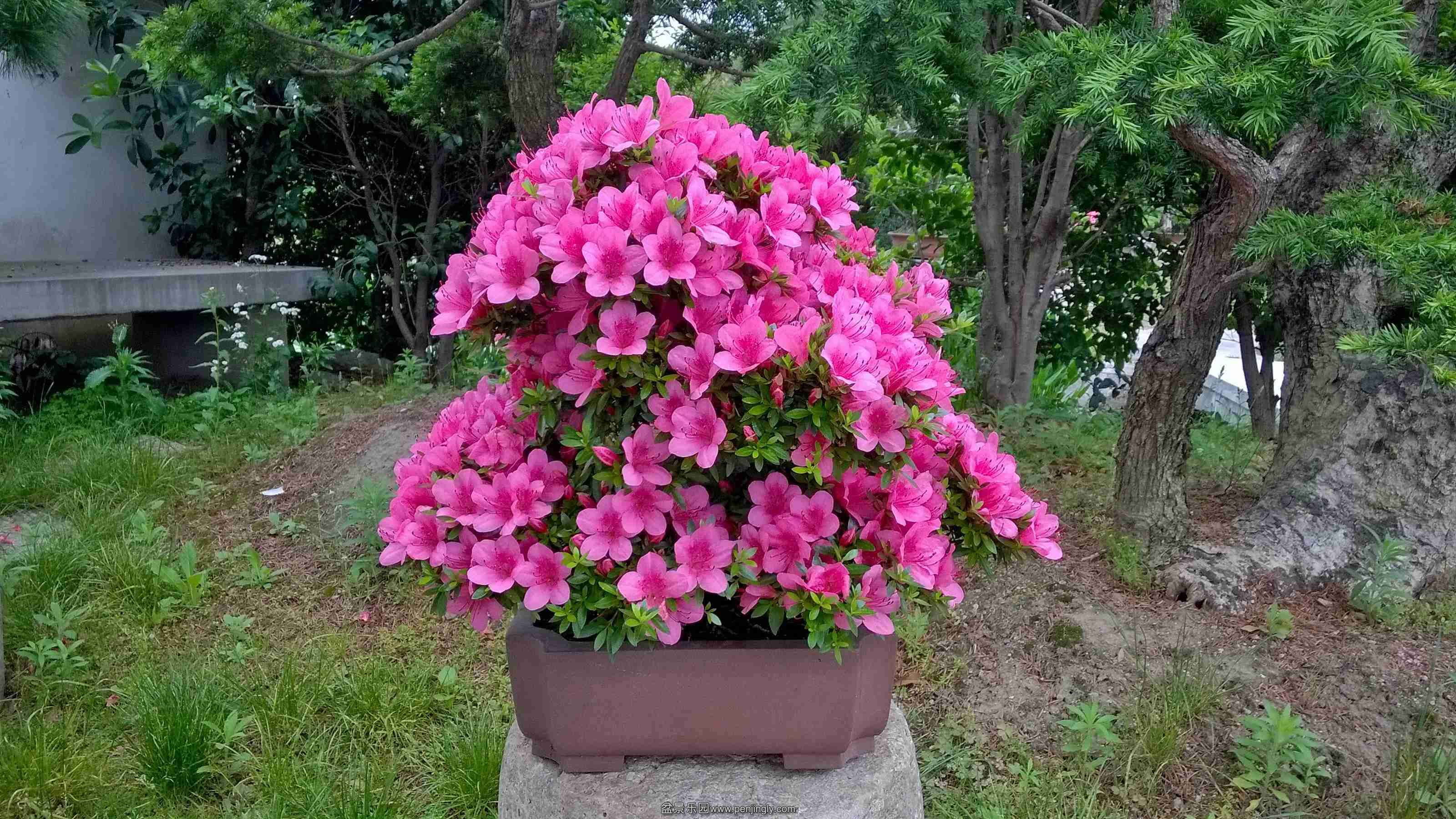 WP_20150523_14_23_15_Pro.jpg