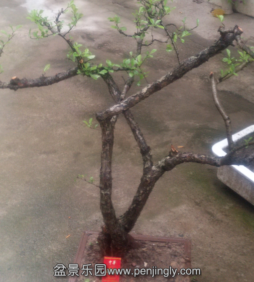 QQͼ20150526203200.png