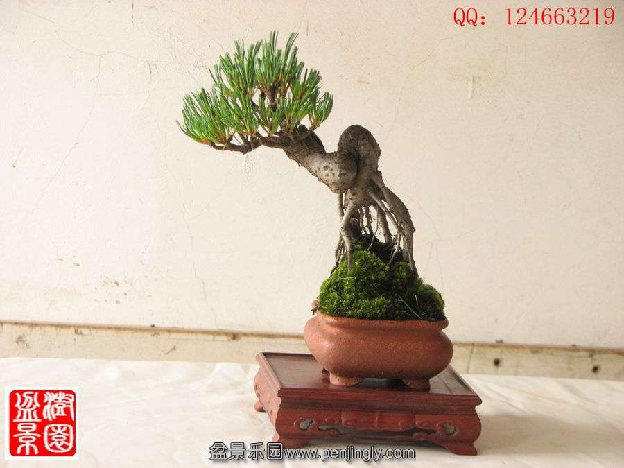IMG_0672__.jpg