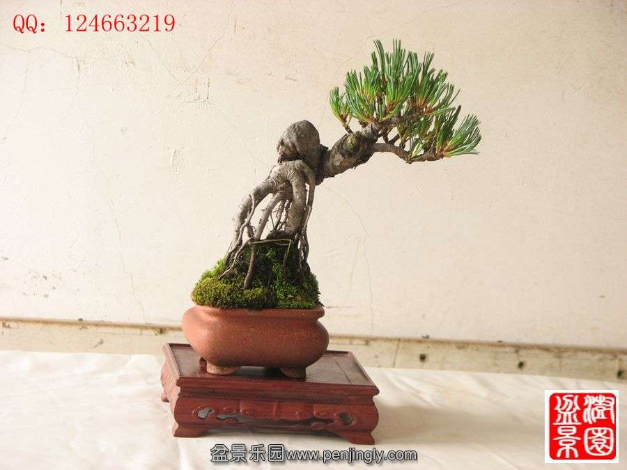 IMG_0673__.jpg