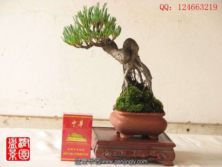 IMG_0676__.jpg