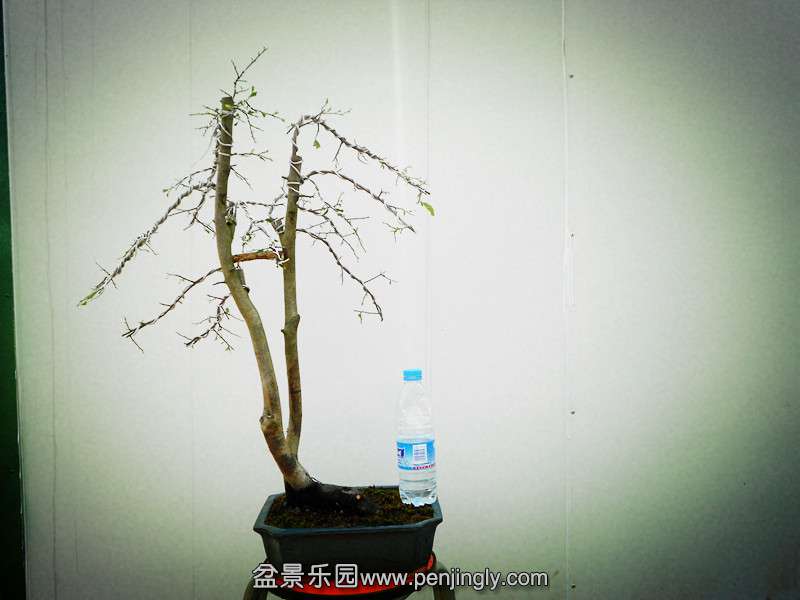 DSCN1766_.jpg