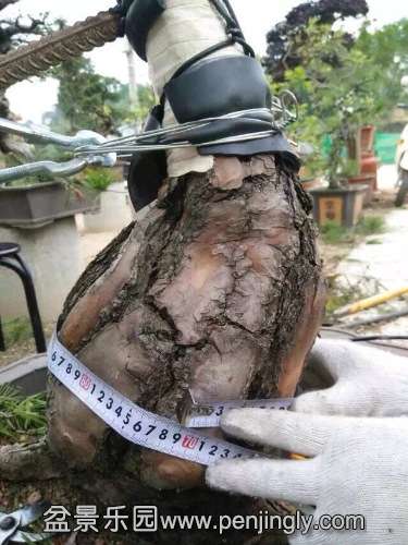 image.jpg