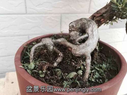 image.jpg