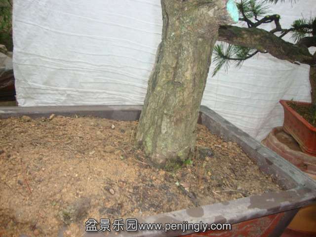 DSC03419_.jpg