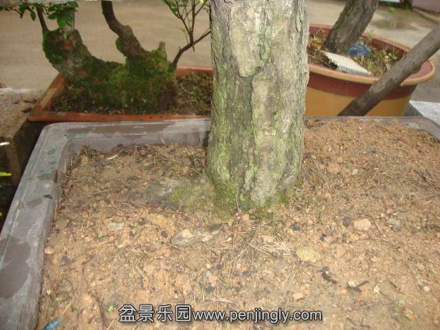 DSC03420_.jpg