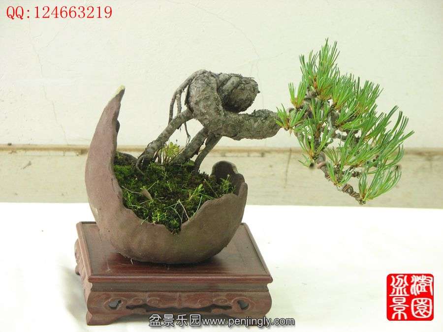 IMG_0705__.jpg