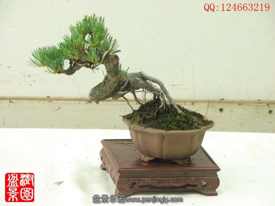 IMG_0713__.jpg