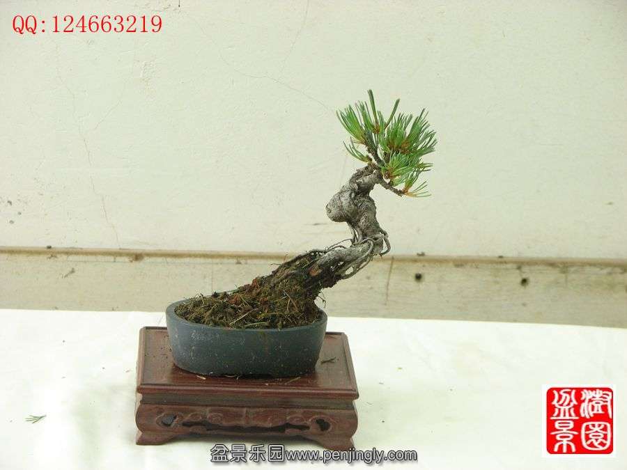 IMG_0723_.jpg