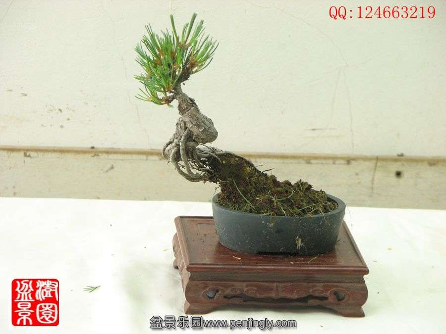 IMG_0726__.jpg