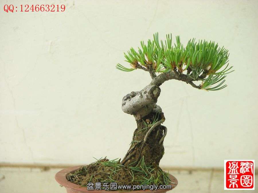 IMG_0728__.jpg