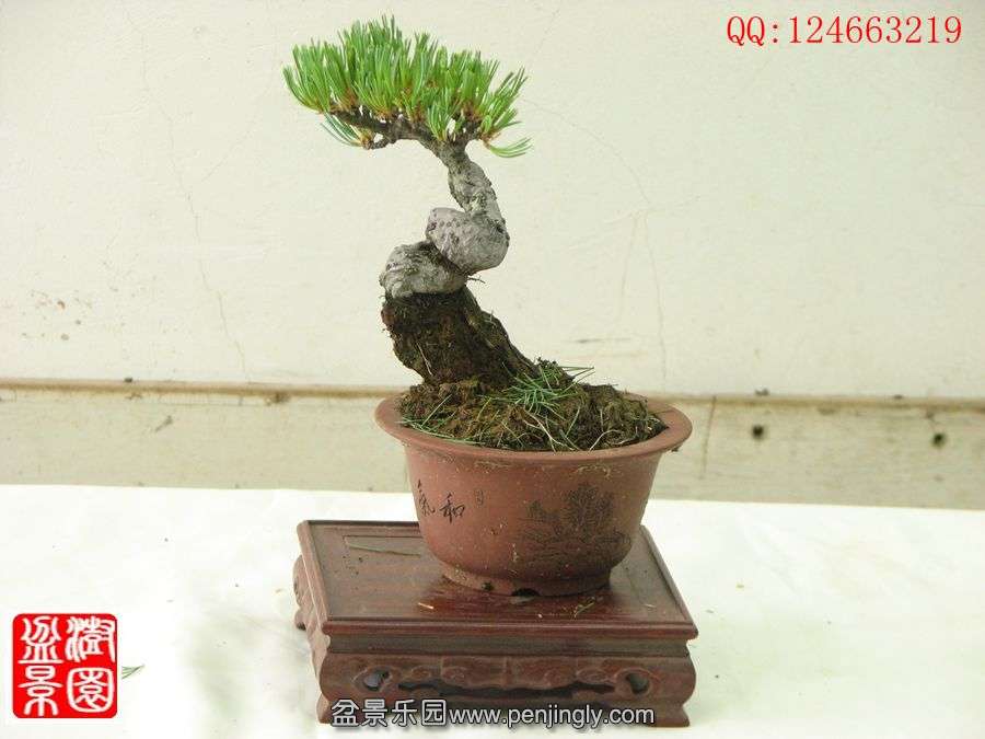 IMG_0730__.jpg