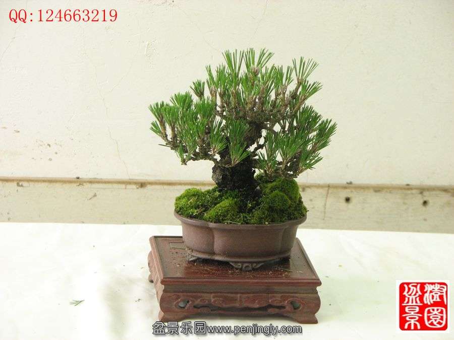 IMG_0735_.jpg