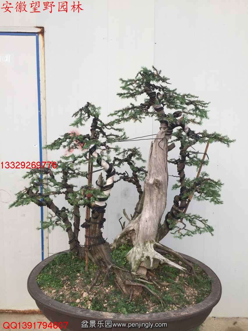 F4229F0C1CB6152179BB3699173BB5DF.jpg