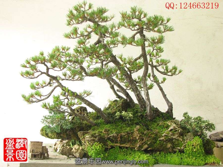 IMG_0792__.jpg