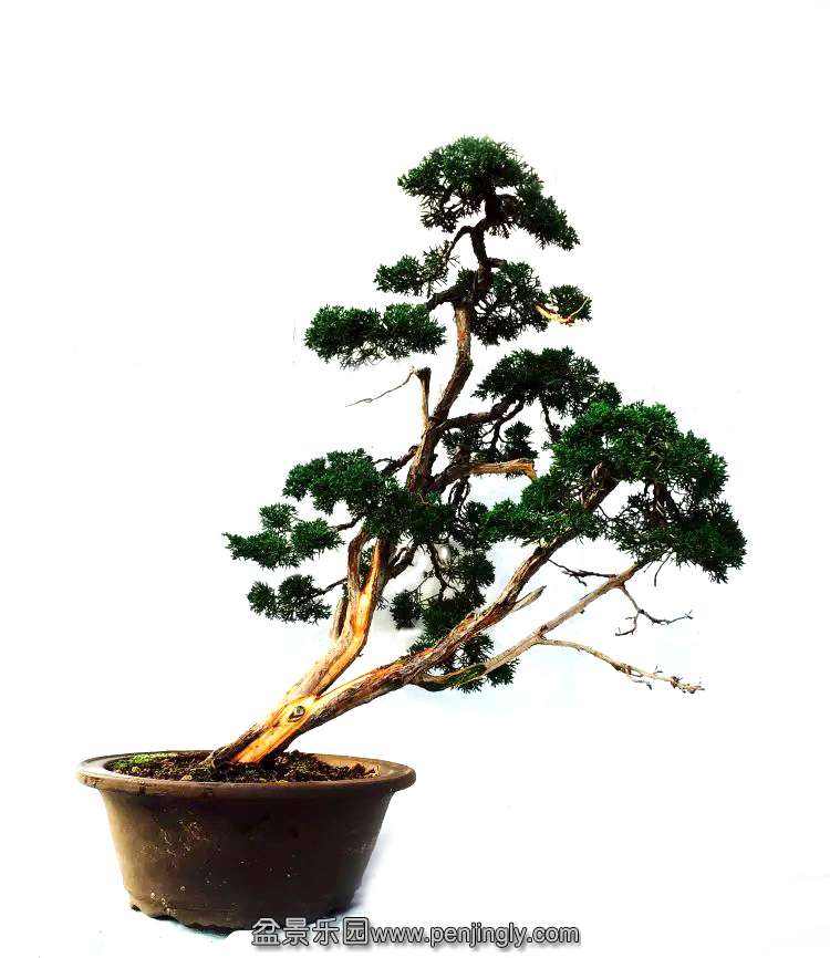 psb (3) ����.jpg