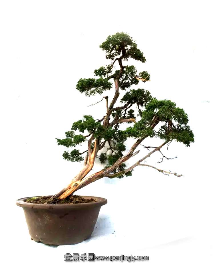 psb (4) ����.jpg