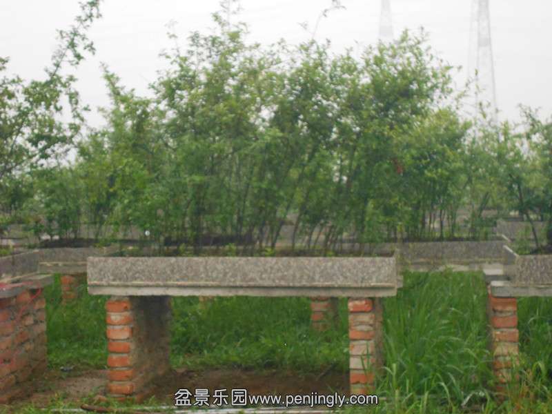 DSCN1856_.jpg