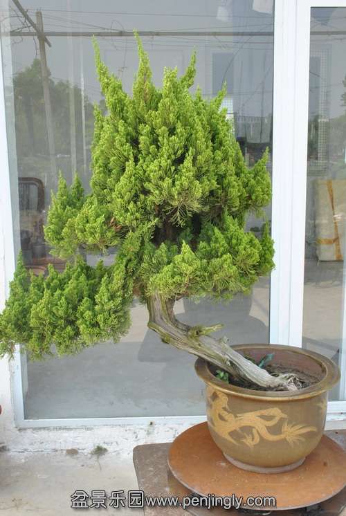 ����ǰ����