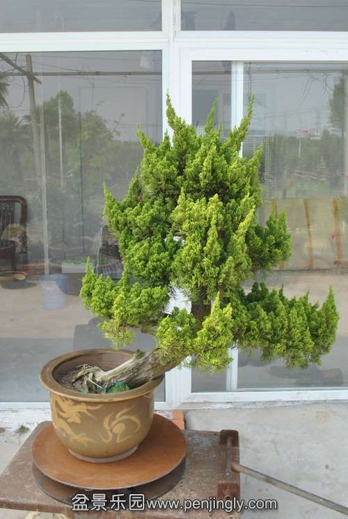 ����ǰ����