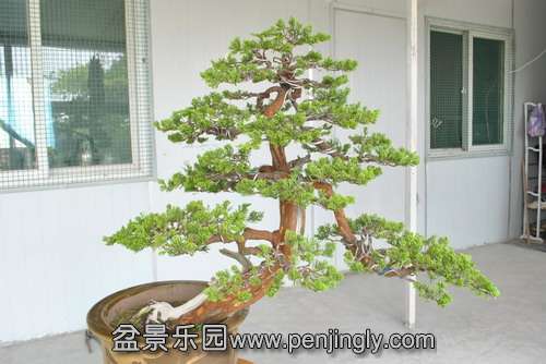 �깤��ı���