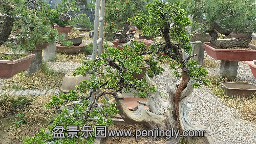 20150416_123306.jpg