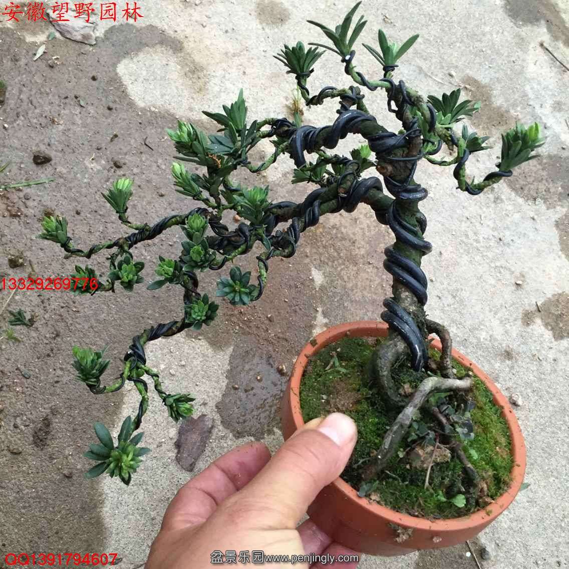 73C06E86F08A7912CC0C4898F97F0C9E.jpg